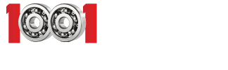 1001 Rulman