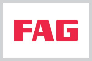 Fag Rulmanlar